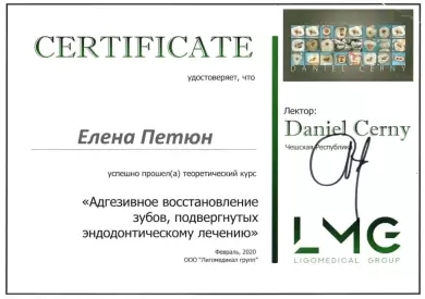 Документ доктора Петюн Елены Эдвардовны